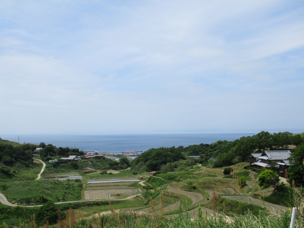 姫路大津店熊谷店長がご紹介。絶景の海山を巡る！淡路島満喫ツアー！