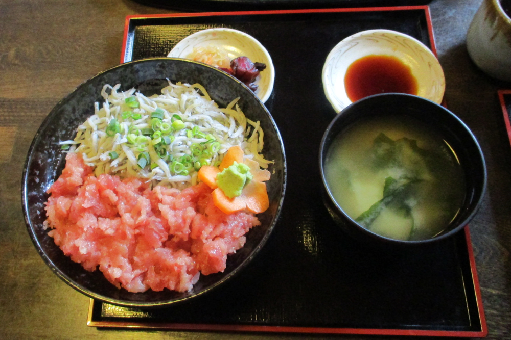 横須賀店森店長がご紹介。海に山に走りつくせ！横須賀海鮮ライド！！