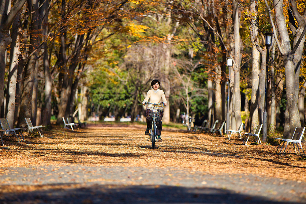 おしゃれで使いやすい電動アシスト自転車！PAS Fiona(パス フィオナ)