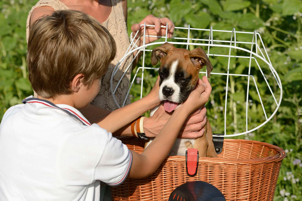 ペット先進国ドイツ発。お犬様専用「ドギーバッグ」に新型登場！