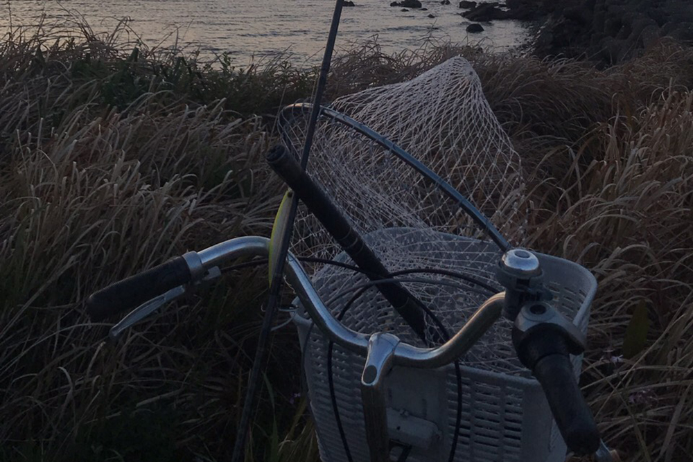 釣りと自転車と私～♪愛する魚のため