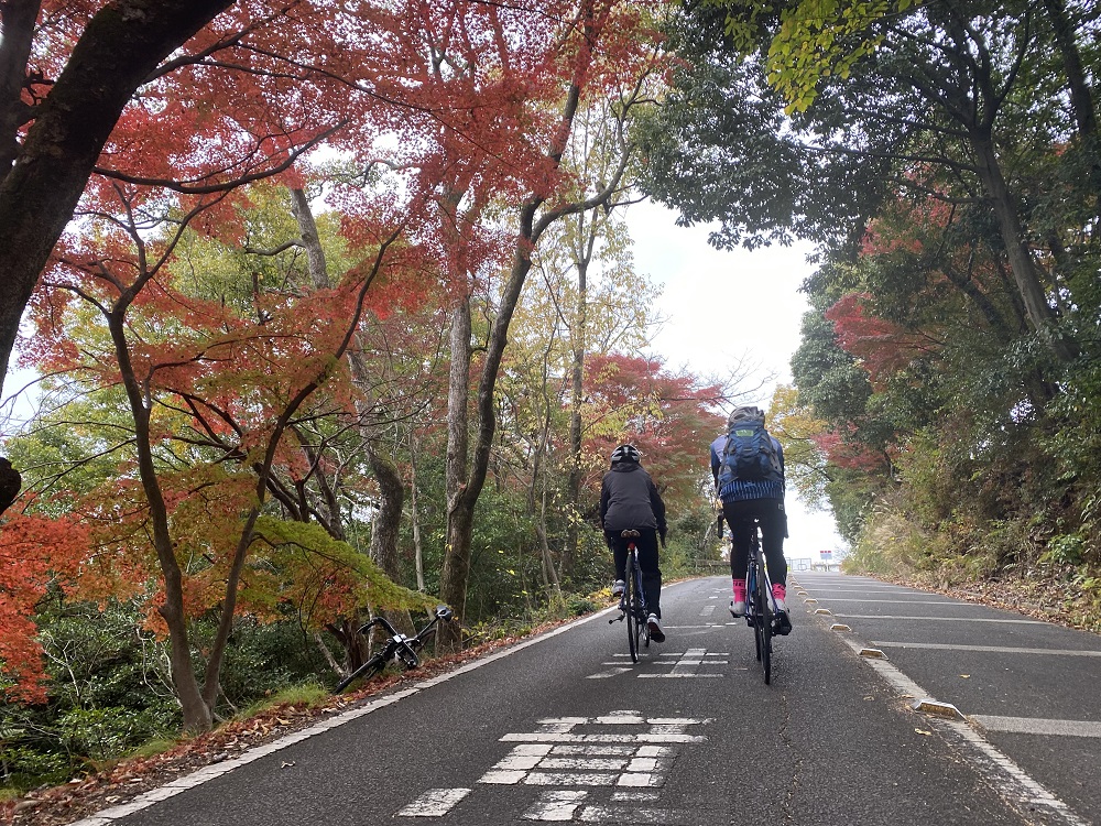 岐阜市橋店スタッフ堀江がご紹介。いざ、ヒルクライム攻略への道　in岐阜・金華山