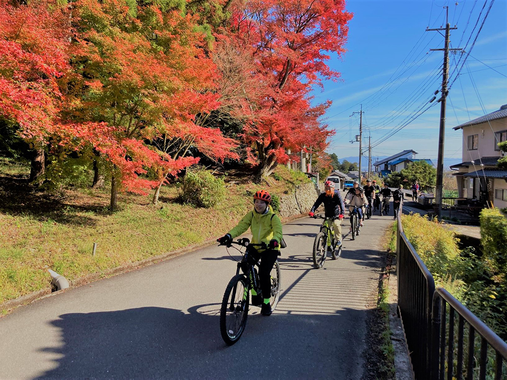 与謝野に近江八幡に楽しくサイクリングに行ったけど、秋の洛西も最高！ツーリズム担当 谷口がご紹介。