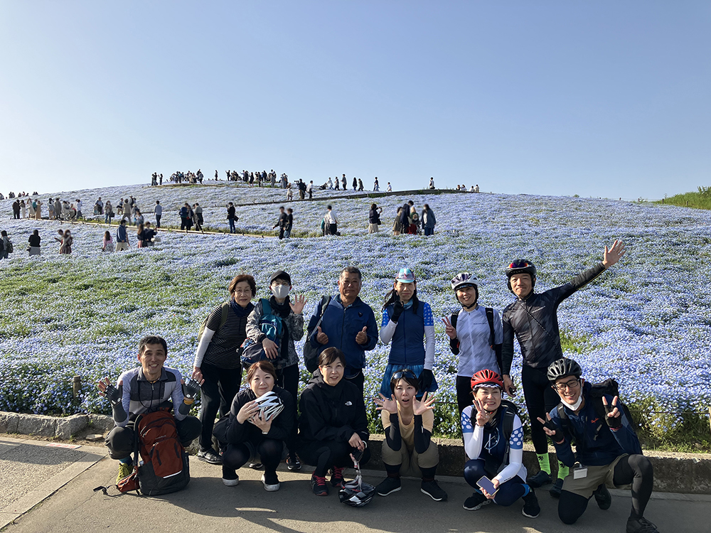 春の絶景！ひたち海浜公園ネモフィラサイクリングツアー。相模原店永井店長がご紹介