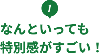 1.なんといっても特別感がすごい！