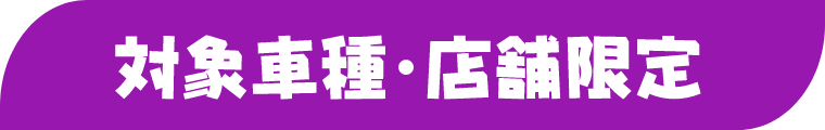 対象車種限定