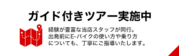 ガイド付きツアー実施中