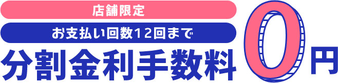 店舗限定 お支払い回数12回まで分割金利手数料0円