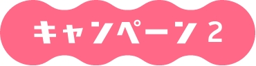 キャンペーン2