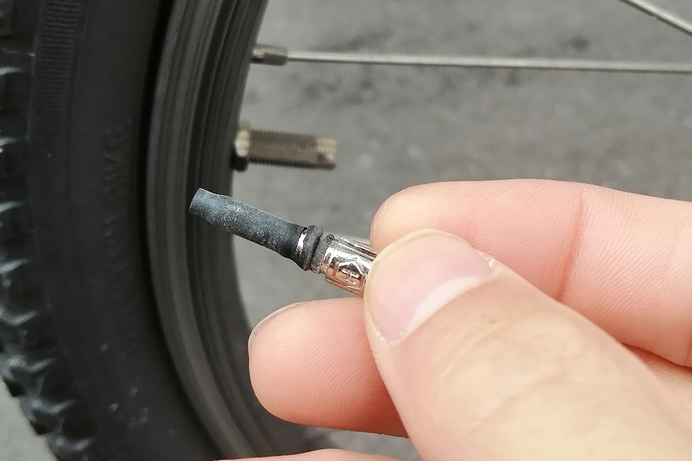 虫ゴムの劣化