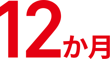 12か月