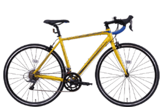 スポーツサイクル