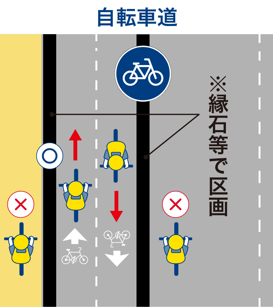 自転車道 ※縁石等で区画