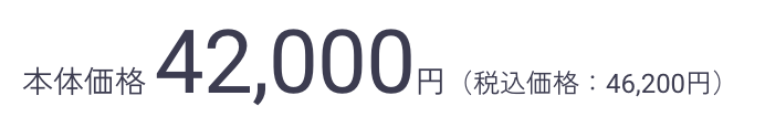 本体価格 42,000円（税込価格：46,200円）