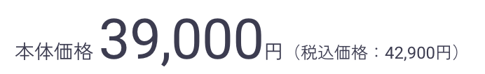 本体価格 39,000円（税込価格：42,900円）