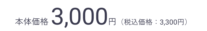 本体価格 3,000円（税込価格：3,300円）