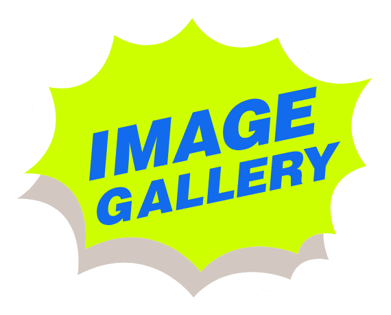 IMAGE GALLERY