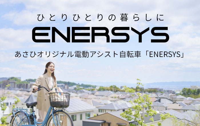 ひとりひとりの暮らしにENERSYS