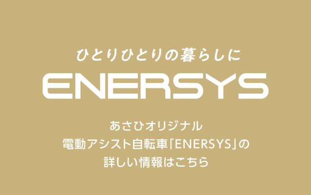 ひとりひとりの暮らしにENERSYS