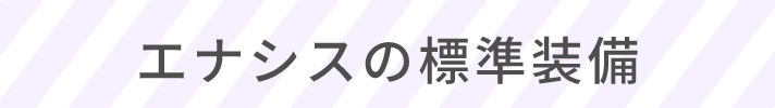 エナシスの標準装備
