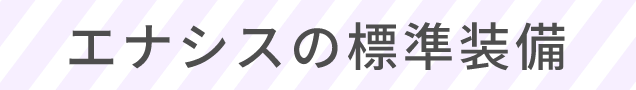 エナシスの標準装備