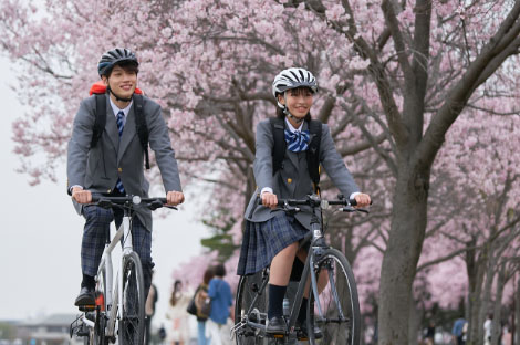 運動になる