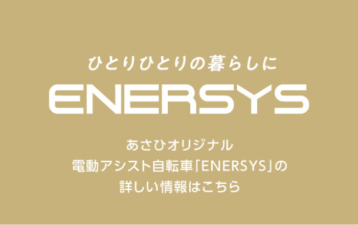 ひとりひとりの暮らしにENERSYS