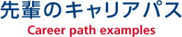 先輩のキャリアパス