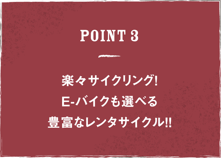 Point3 E-バイクで行くガイド付きサイクリングツアー定期開催！